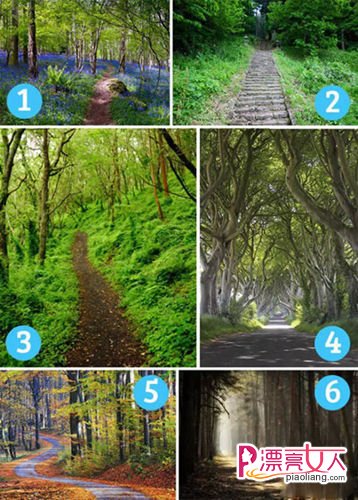 6条森林小路 你最想走哪一条？(图1)