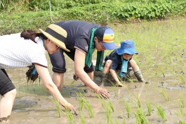 嫁入豪门7年生三胎 37岁却低调打扮像大妈(图4)