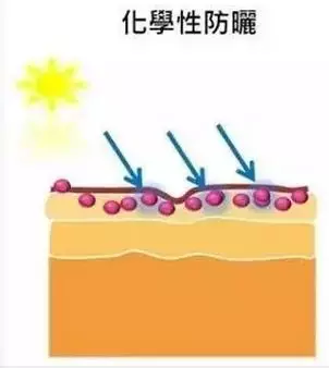 防止晒黑晒伤 化学防晒和物理防晒你分清了吗(图2)