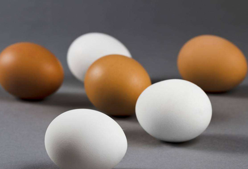 白壳鸡蛋与红壳鸡蛋哪个更有营养？该怎样挑选鸡蛋？(图1)