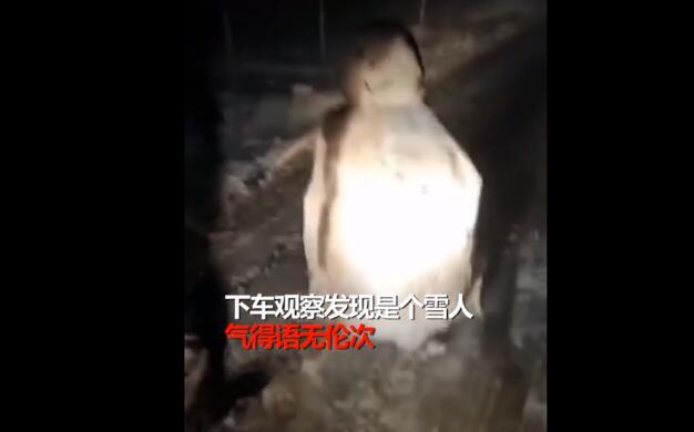 吓尿！男子深夜开车 被诡异白影挡住去路(图3)