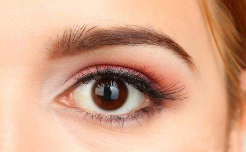 圆眼睛适合什么颜色的眼影 圆眼怎么画眼妆好看(图4)