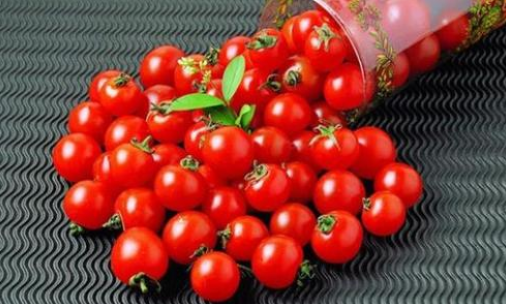 什么是番茄红素？番茄红素可以延缓衰老吗？(图2)