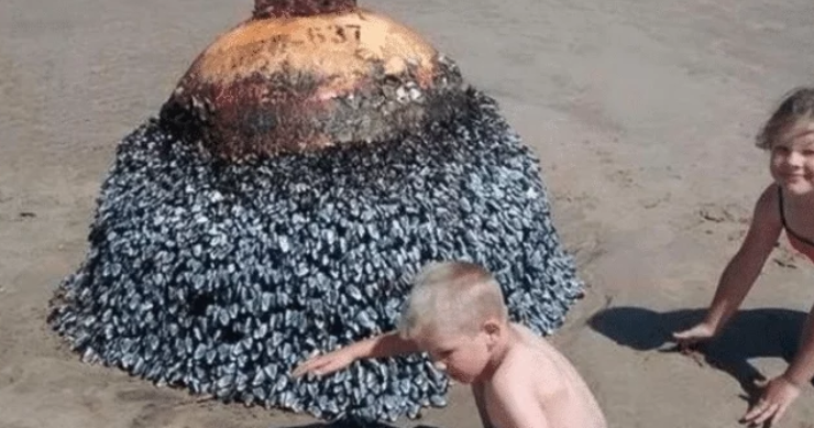 孩子在沙滩上发现“奇怪石头”，母亲为其拍照，专家：跟死神擦肩而过(图2)