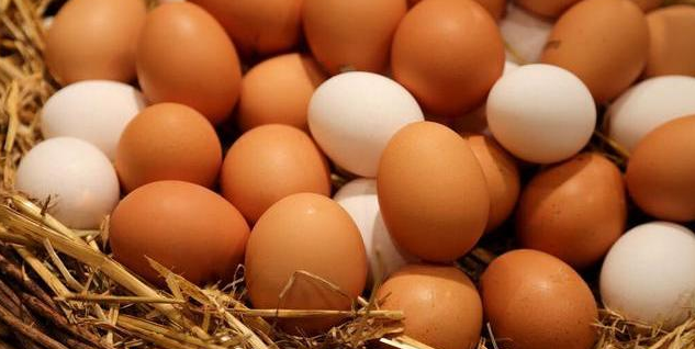 白壳鸡蛋与红壳鸡蛋哪个更有营养？养殖户告诉你，下次别再买错(图2)