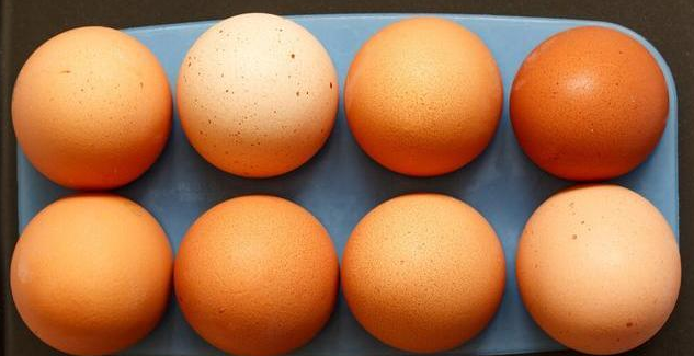 白壳鸡蛋与红壳鸡蛋哪个更有营养？养殖户告诉你，下次别再买错(图3)
