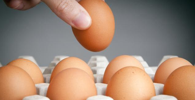 白壳鸡蛋与红壳鸡蛋哪个更有营养？养殖户告诉你，下次别再买错(图4)