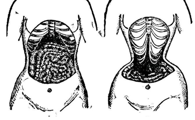 束腰带的好处和危害，束腰能减肥吗？(图3)