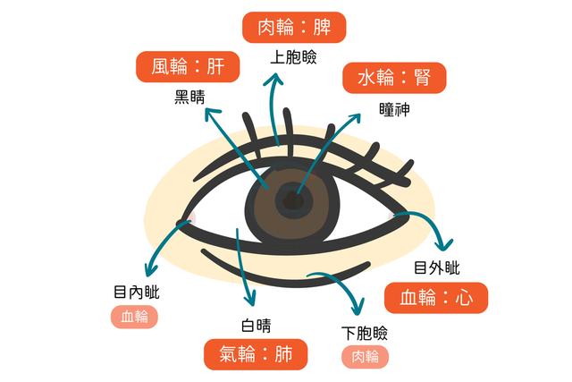 身体好不好，看眼袋“先知”！眼袋的三种类型，透露了体内的三种病(图2)