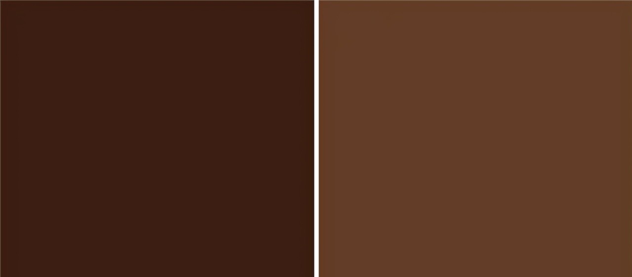 秋天穿“棕色”有多时髦？越精致的女人越喜欢棕色(图2)