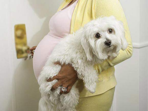 女子长期和狗待在一起，怀孕6个月后觉得不对劲，检查后当场失控(图3)