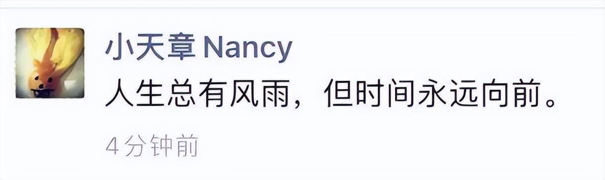 刘强东给了刘静尧多少钱！媒体分析称：至少500万美金起步 (图12)