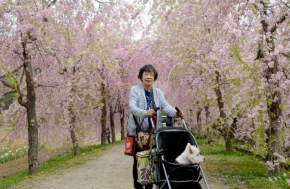 日本漂亮主妇被“折磨”2年后死去，生前9篇日记曝光(图6)