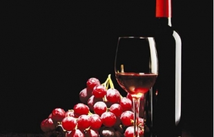 新人必看：关于葡萄酒的基础常识