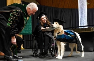 狗的学历都比你高！国外导盲犬被授予荣誉硕士学位