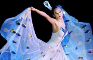 杨丽萍起诉餐厅舞蹈剪影 被嘲：孔雀舞是你独创？