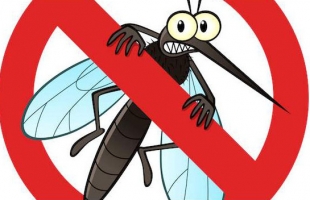 夏季驱蚊小妙招 让蚊子无处可逃！
