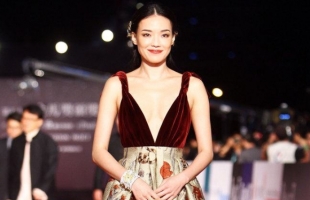 中国女明星红毯发型造型